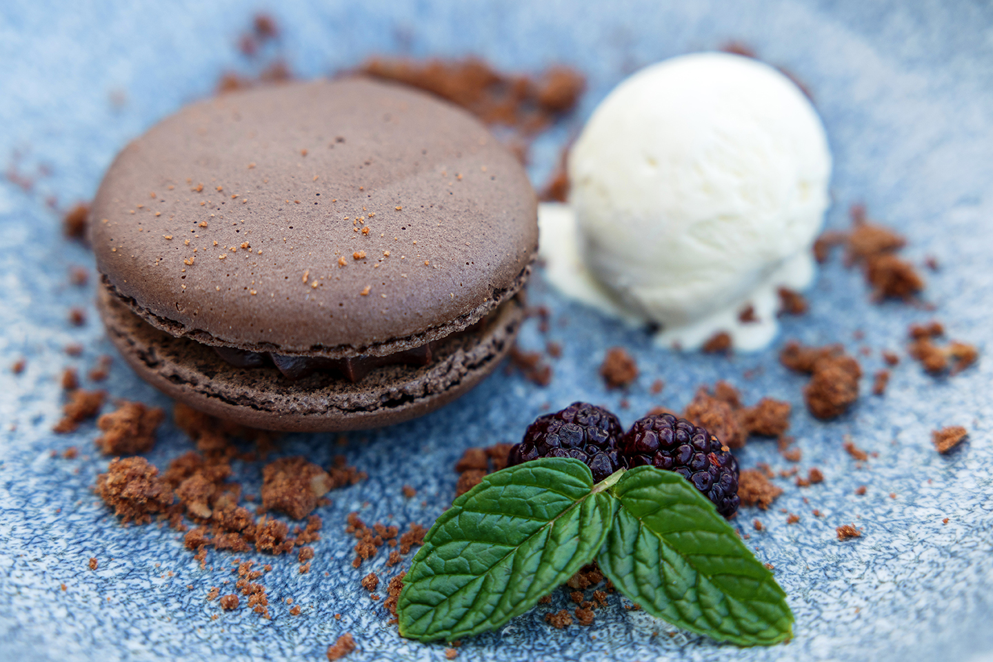 020_alta_senatoráguilas Terraza.jpg